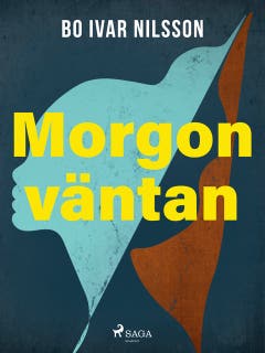 Morgonväntan – omslag till ljudboken av Bo Ivar Nilsson