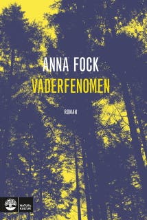 Väderfenomen – omslag till ljudboken av Anna Fock