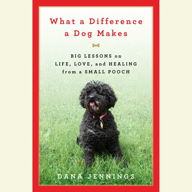 What a Difference a Dog Makes: Big Lessons on Life, Love and Healing from a Small Pooch – omslag til lydbogen af Dana Jennings