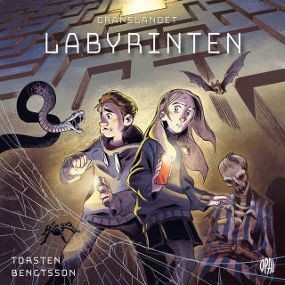 Labyrinten