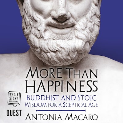 More Than Happiness
