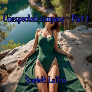 Unexpected company - Part 1 – omslag till ljudboken av Scarlett LaTrix