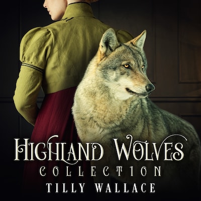 Highland Wolves Collection – omslag til lydbogen af Tilly Wallace