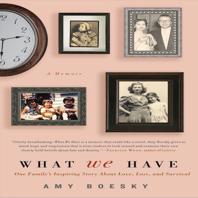 What We Have – omslag til lydbogen af Amy Boesky