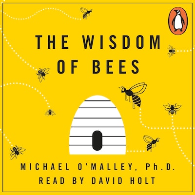 The Wisdom of Bees – omslag til lydbogen af Michael O'Malley