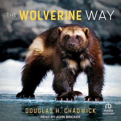 The Wolverine Way – omslag til lydbogen af Douglas H. Chadwick