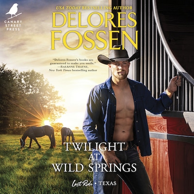 Twilight at Wild Springs – omslag til lydbogen af Delores Fossen