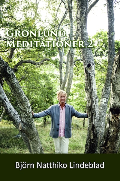 Grönlund Mediationer 2