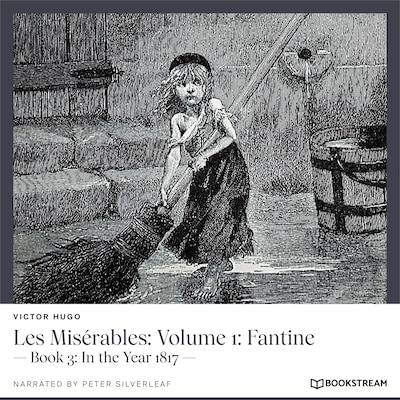 Les Misérables, Volume 1: Fantine - Book 3: In the Year 1817