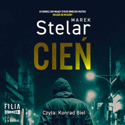 Cień – okładka audiobooka, autor Marek Stelar