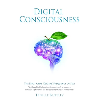 Digital Consciousness