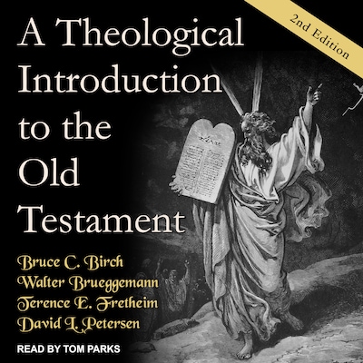 A Theological Introduction to the Old Testament – omslag til lydbogen af Bruce C. Birch, Walter Brueggemann, Terence E. Fretheim