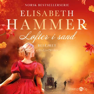 Belejret – omslag til lydbogen af Elisabeth Hammer