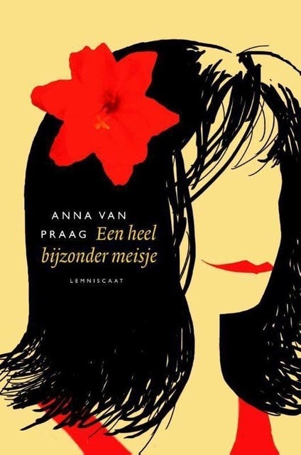 Een heel bijzonder meisje – omslag van het luisterboek van Anna van Praag