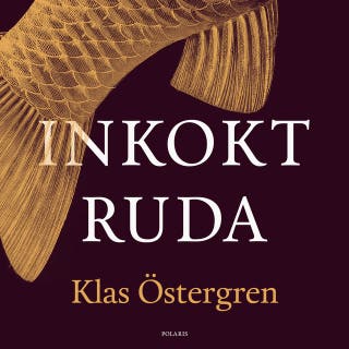 Inkokt ruda