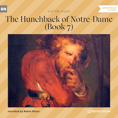 The Hunchback of Notre-Dame, Book 7