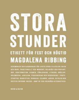 Stora stunder – omslag till ljudboken av Magdalena Ribbing