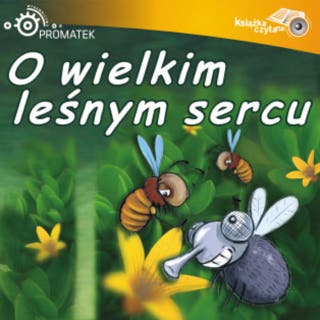 O wielkim leśnym sercu – okładka audiobooka, autor Ryszard Adam Gruchawka