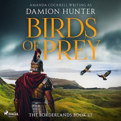 Birds of Prey – omslag til lydbogen af Damion Hunter