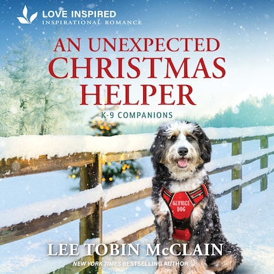 An Unexpected Christmas Helper