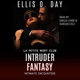 Intruder Fantasy – omslag till ljudboken av Ellis O. Day