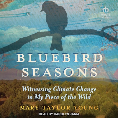 Bluebird Seasons – omslag til lydbogen af Mary Taylor Young