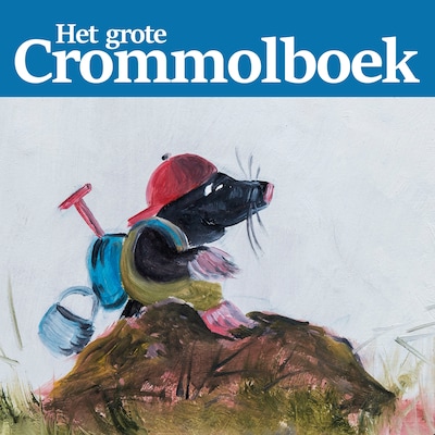 Het Grote Crommolboek