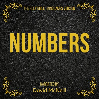 The Holy Bible - Numbers – omslag til lydbogen af King James