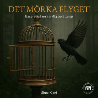 Det mörka flyget: En sann berättelse