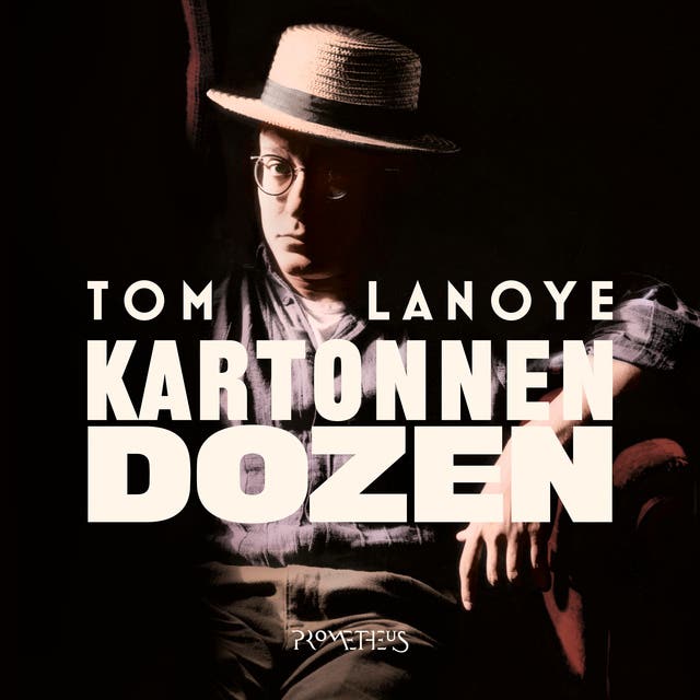 Kartonnen dozen – omslag van het luisterboek van Tom Lanoye