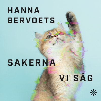 Sakerna vi såg – omslag till ljudboken av Hanna Bervoets
