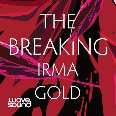 The Breaking – omslag til lydbogen af Irma Gold