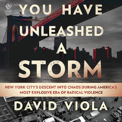 You Have Unleashed a Storm – omslag til lydbogen af David Viola