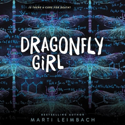 Dragonfly Girl – omslag til lydbogen af Marti Leimbach