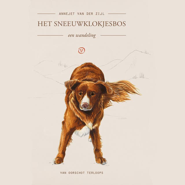 Het sneeuwklokjesbos: Een wandeling