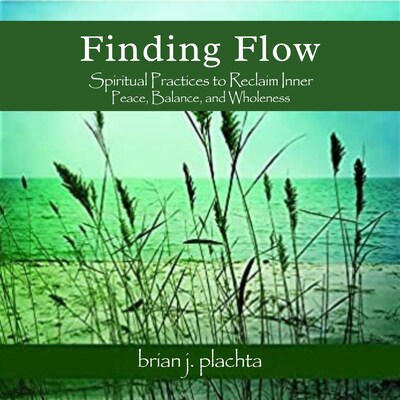 Finding Flow – omslag til lydbogen af Brian J. Plachta