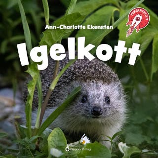 Faktaraketen - Igelkott
