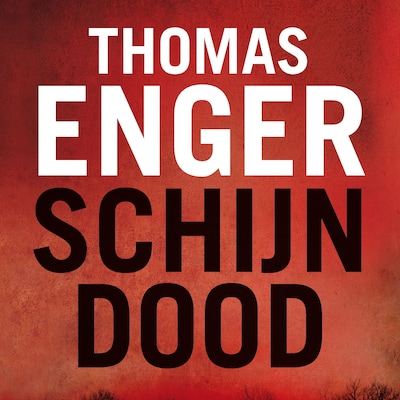 Schijndood