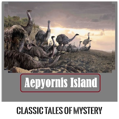 Aepyornis Island
