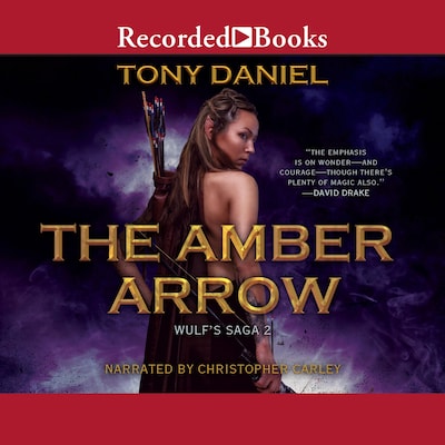 The Amber Arrow – omslag til lydbogen af Tony Daniel