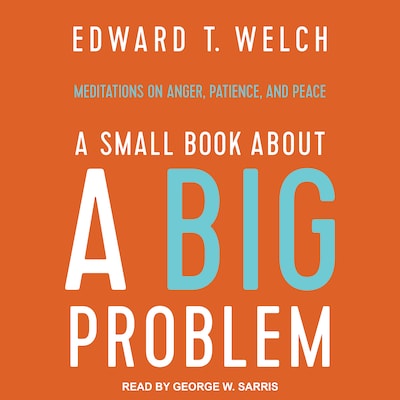 A Small Book about a Big Problem – omslag til lydbogen af Edward T. Welch