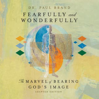 Fearfully and Wonderfully: The Marvel of Bearing God's Image