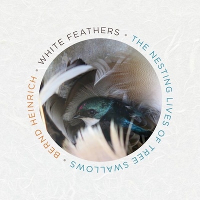 White Feathers – omslag til lydbogen af Bernd Heinrich