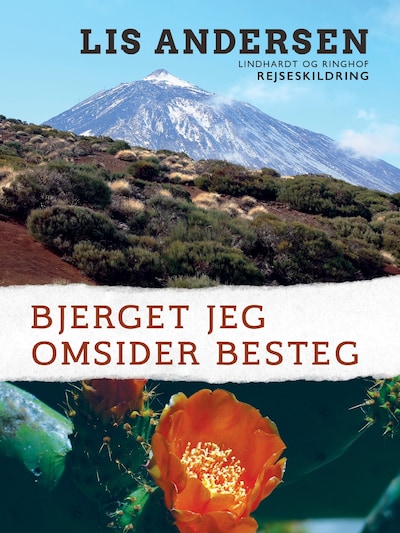 Bjerget jeg omsider besteg – omslag til lydbogen af Lis Andersen