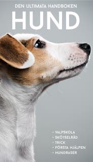 Den ultimata handboken HUND