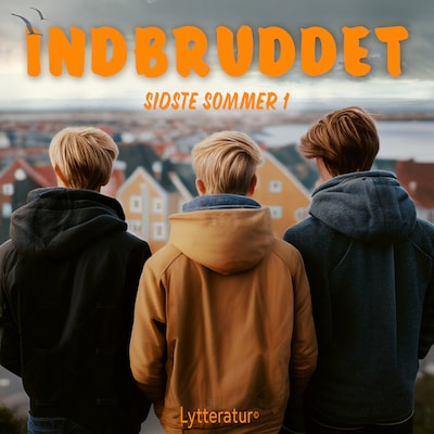 Indbruddet – omslag til lydbogen af Niels Ulrich Fjordside