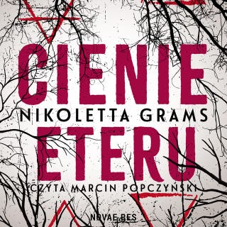 Cienie eteru – okładka audiobooka, autor Nikolette Grams