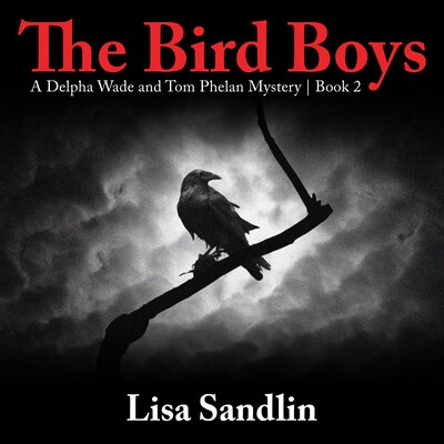 The Bird Boys – omslag til lydbogen af Lisa Sandlin