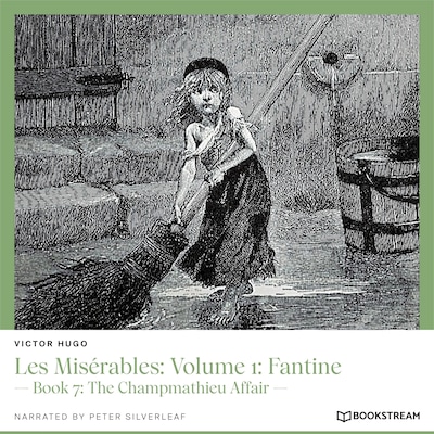 Les Misérables, Volume 1: Fantine - Book 7: The Champmathieu Affair