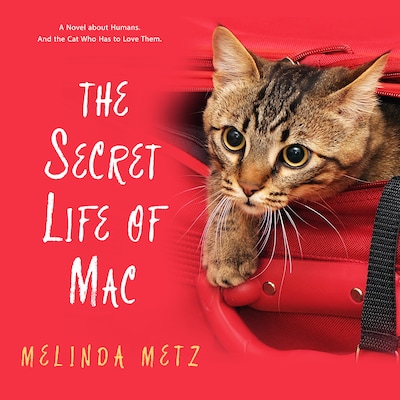 The Secret Life of Mac – omslag til lydbogen af Melinda Metz